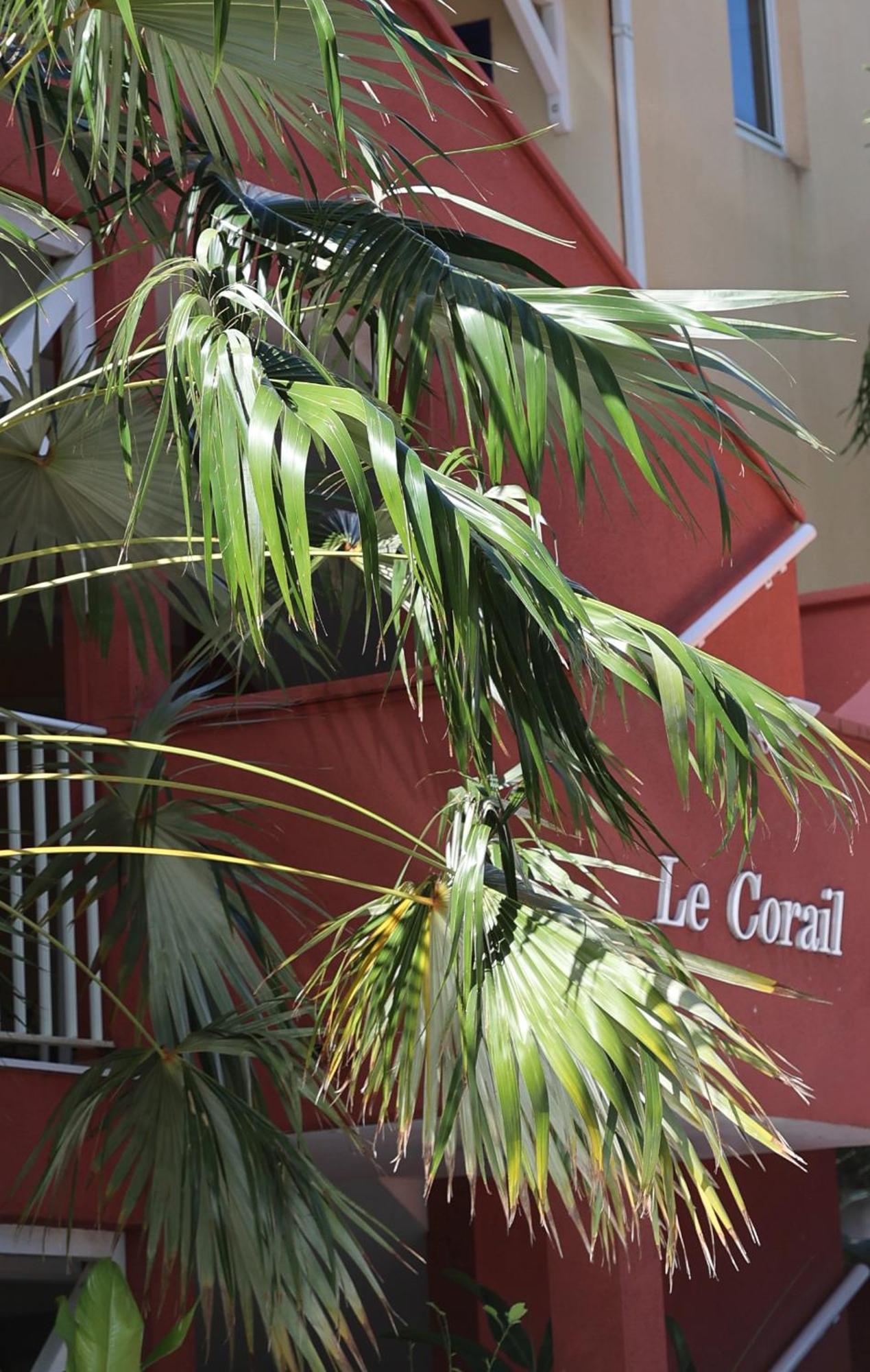 Le Coco Lejlighed Le Gosier  Eksteriør billede
